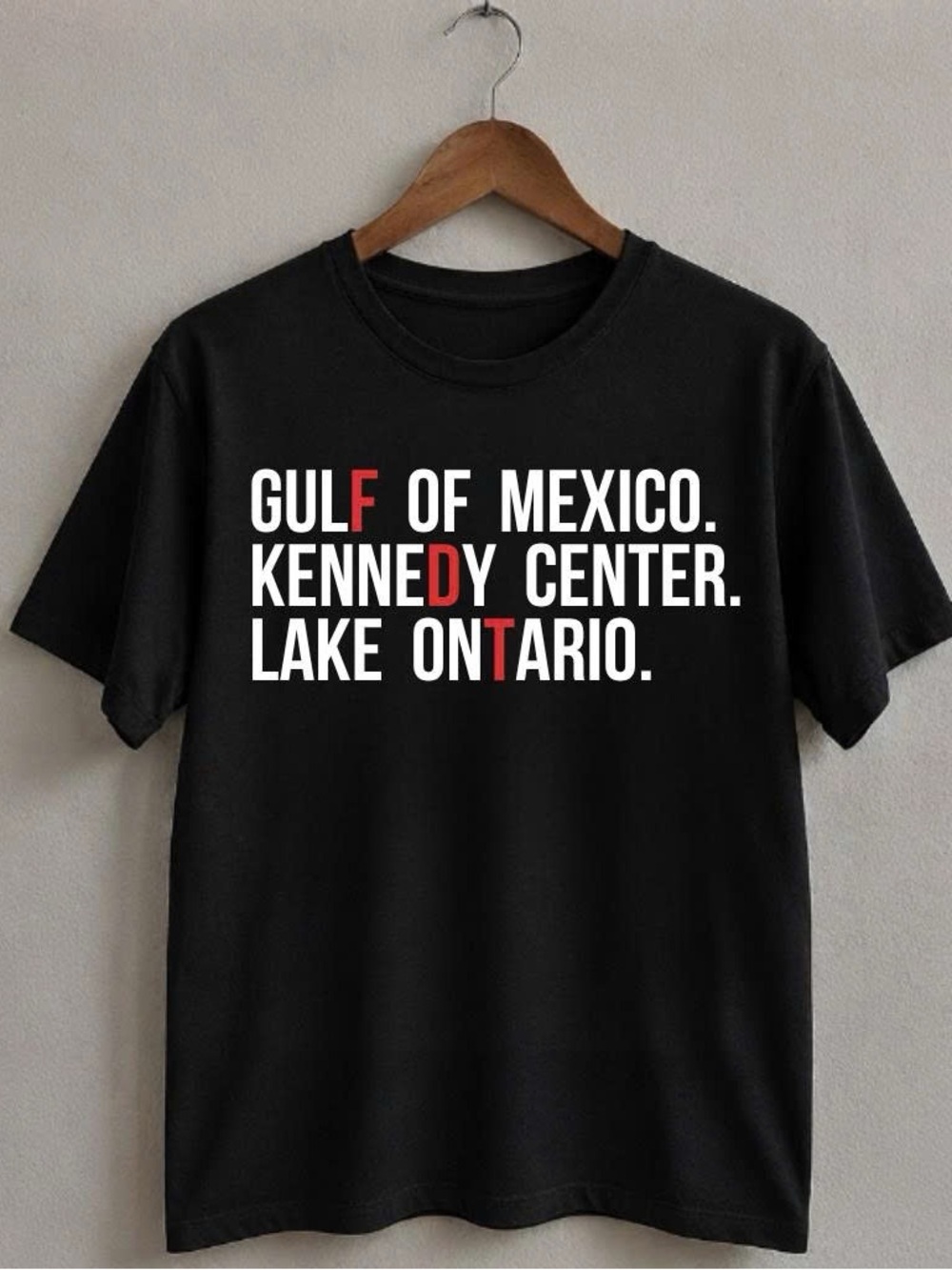 Gildan Black Graphic Tee with Lake Ontario